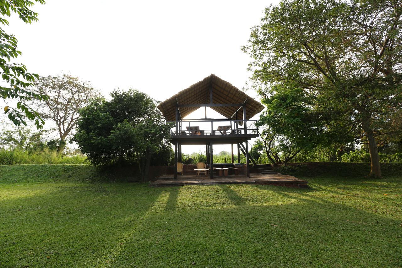 Sigiriyajungles Resort & Spa Kültér fotó