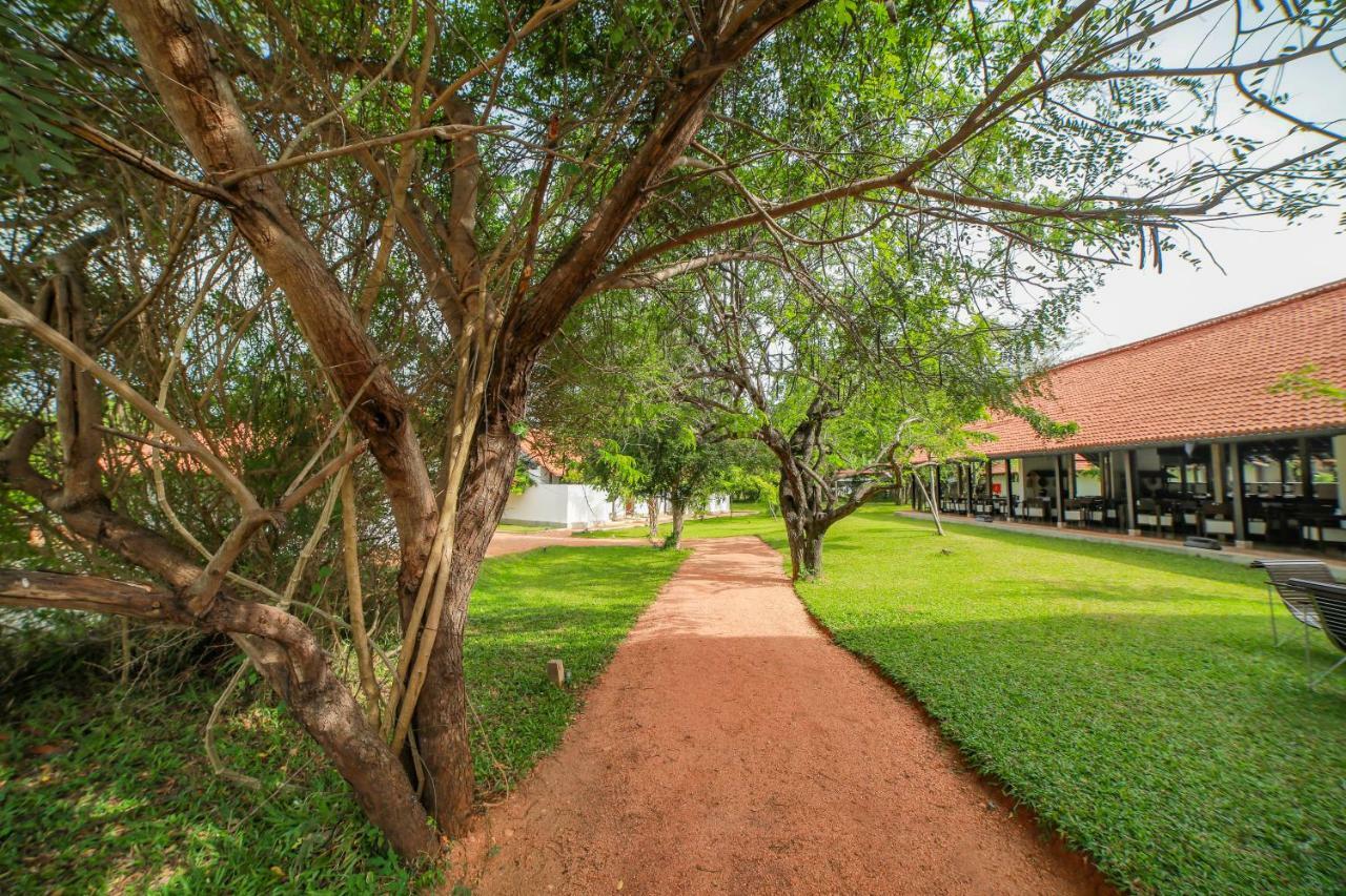 Sigiriyajungles Resort & Spa Kültér fotó