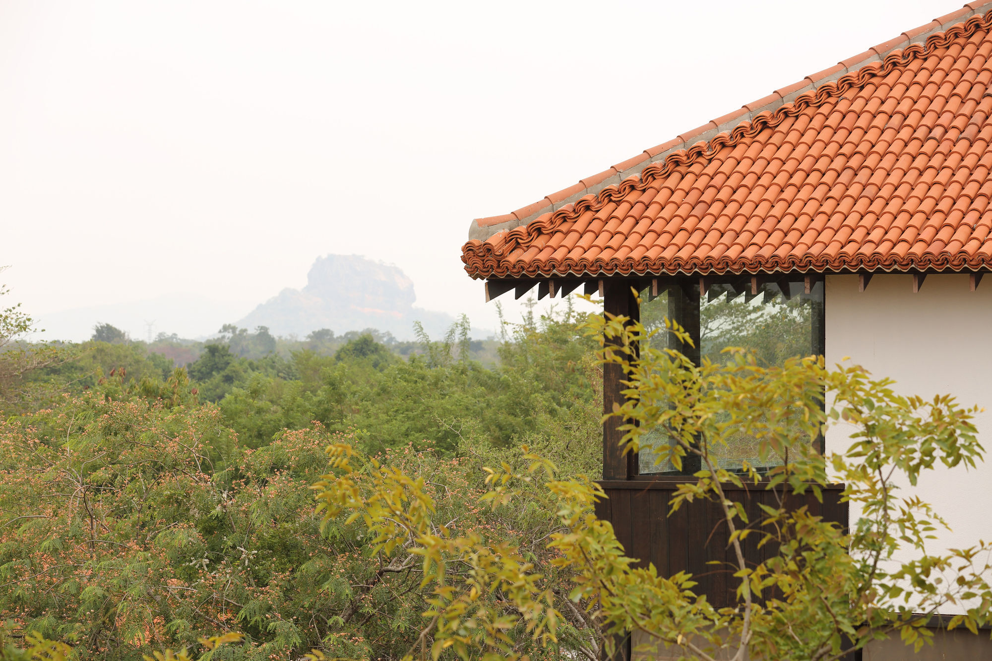 Sigiriyajungles Resort & Spa Kültér fotó